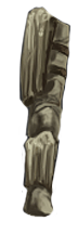 Petrified Bark Covered Leg