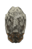 Geode Kite Shield