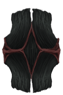 Shield of the Blackwhale