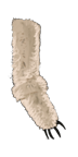 Polar Bear Skin Sleeve