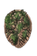 Enchanted Earth Shield