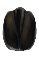Deathbeetle Thoraxial Shield