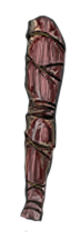 Leg of the Forgotten Corpse