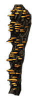 Fungal Growth Leg