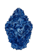 Sea of Reflection Shield