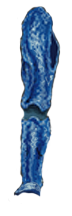 Blue Crystalline Legs of Might