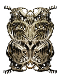 Forlorn Ancient's Shield