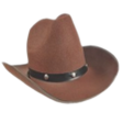 Prospector's Hat