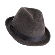 Philanthropist's Fedora