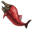 Sockeye