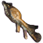 Froghead Fish