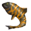 Tigertail