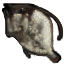 Longhat Trigger