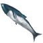 Cod