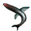 Flying Eel