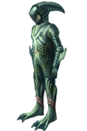 Sharkskin Diving Gear