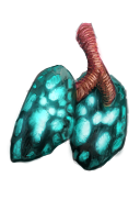 Lungs of the Wyvern