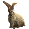 Bunny Darko