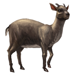Mulebok