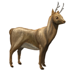 Fenelihorn
