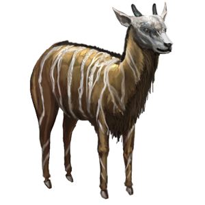 Striped Billy