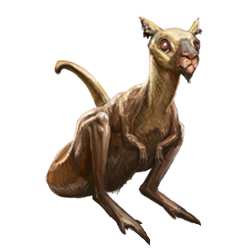 Night Leaper