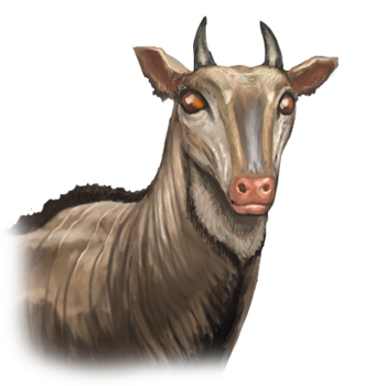 Great Eland