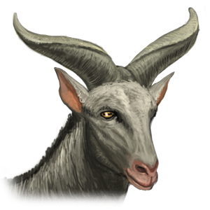 Blesbok