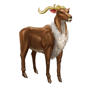 Elder Kudu