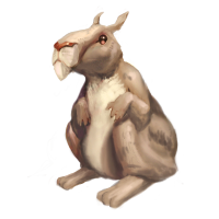 Woodland Critter