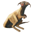 Roo Pup