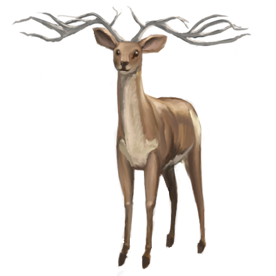 Stag