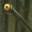 Slug Eye