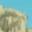 Anthill Chunk