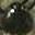 Insect Head
