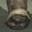 Aardvark Snout