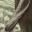 Rock Tusk