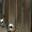 Orcish Studded Leather