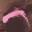 Small Snake Fang