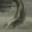 Tiny Snake Tail