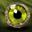 Turtle Eye