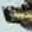 Lower Jaw