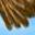 Fungal Feathers
