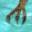 Water Lizard Claw