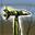 Broken Hammerstaff