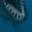 Dragon Jaw