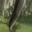Fly Tail