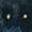 Forest Eyes