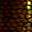 Spider Scales