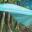 Aquaflight Wing
